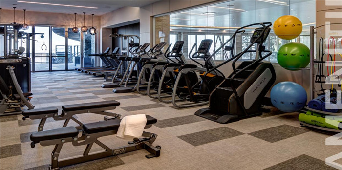 運(yùn)動區(qū) 運(yùn)動區(qū)