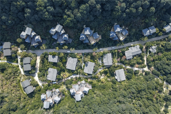 樹屋酒店設(shè)計(jì)鳥瞰圖 樹屋酒店設(shè)計(jì)鳥瞰圖