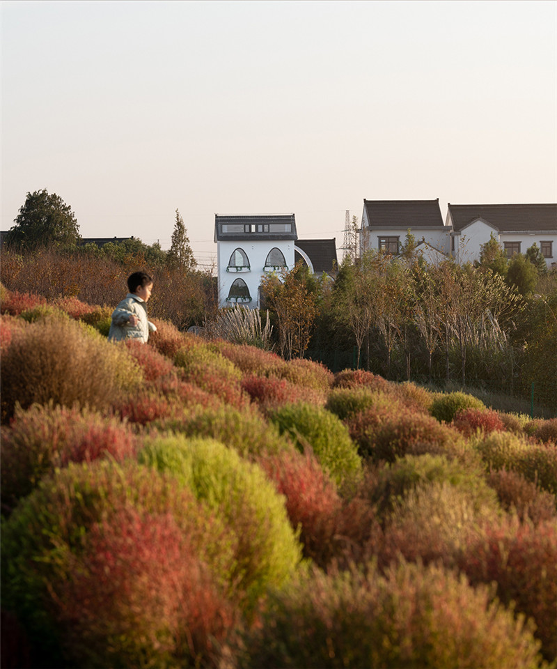上海待涇村花海民宿外觀(guān)改造設(shè)計(jì)案例 上海待涇村花海民宿外觀(guān)改造設(shè)計(jì)案例